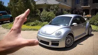 The Most Expensive Beetle in the world: The RSI