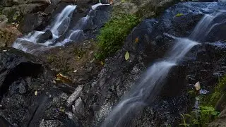 INDIA || Travel WhatsApp status | TRAVELLING