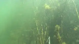 видео с карьера / без обработки!