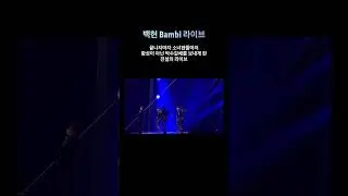 [EXO/백현] 2024 서울 막콘 론스달라이트 백현 솔로 콘서트 밤비 라이브