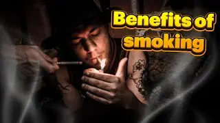 smoking benefits/ how can cigarettes improve your health?🚬