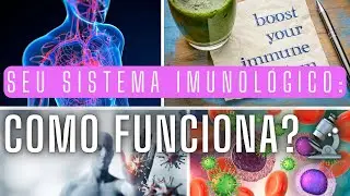 Seu Sistema Imunológico: Como Funciona 🔬💪