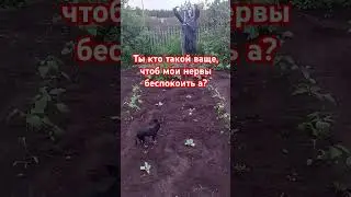 11 июля 2024 г.
