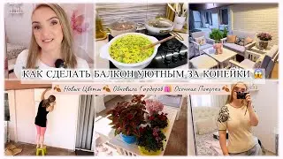 УЮТНЫЙ БАЛКОН ЗА КОПЕЙКИ 😱 ОБНОВИЛА ГАРДЕРОБ К ОСЕНИ 🍂