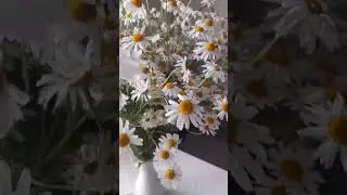 #2024 #топ #music