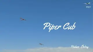 Piper Cub