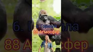 Топ 10 самых мощных укусов животных. 