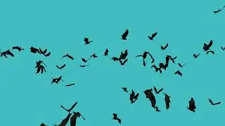 Bat Swarm Particles for Unity