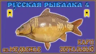 Трофей Карп Зеркальный-Русская рыбалка 4