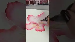 Watercolored Hibiscus Card