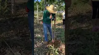 Nem só de escritório vive um homem. Trabalho de campo sempre é bem vindo.