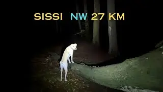 Sissi*s erste Nachtwanderung