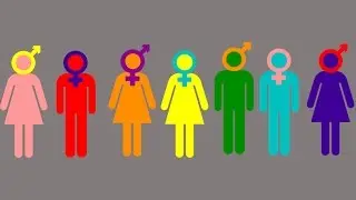 NYC releases list of 31 protected gender identities