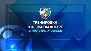 Тренировка на песке.  Стрела 2008 г. р.  трейлер
