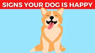 19 Signs Your Dog is VERY Happy and Healthy