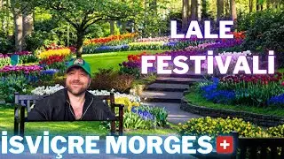 LALE FESTİVALİ | İSVİÇRE | MORGES 🇨🇭