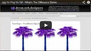 Jpg Vs Png Vs Gif - What's The Difference Between Image Formats?