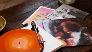 Labelle 'Nightbirds' | Essentials January 2024 | VMP