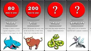 Comparison: Most Dangerous animals in the World