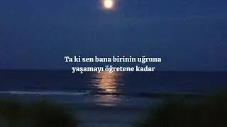 Mitski - Star (türkçe çeviri)