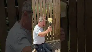 Painting The Fence Black?