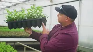RL50™ by Van Belle Youngplants: Find Your Fit