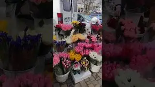 Цветы на праздник 