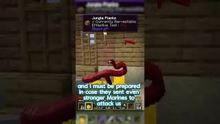 One Piece Minecraft - 
