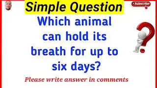 Top Intresting gk || Logical questions || tricky questions