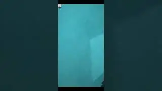 bigo live streaming 035 l baju trans paran masih malu malu