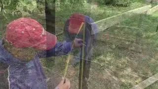 I am building a summer RUNNING HOUSE and SHED for pigs, using what I have.