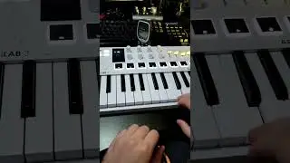 1992 DANCE HIT!  #cover #arturia #minilab3 #music #90s