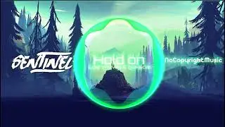 Hold On / Lost Wolves & glasscat (Gaming Music) [SentinelNCM]