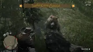 RDR2 Online Collecting