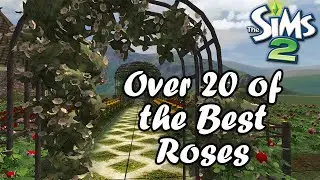 I found the best CC roses in the Sims 2 so you don't have to
