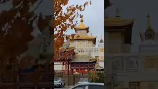 моя маленькая Элиста 