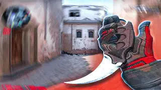 МОЯ ДИКАЯ КАССАНДРА ❤️