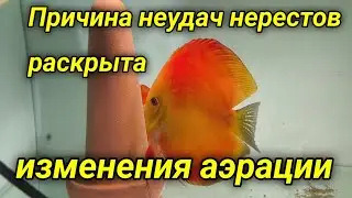 Недельные новости разводни 12 октября