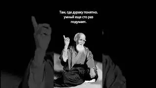 Понимание #высказывание #цитата #умное #веселое #смешное #интересное