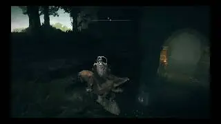 Elden Ring Shadow of the Erdtree #57 Святая цветочных бутонов   Ромина