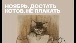 Чайный мастер о Да Хун Пао и котах