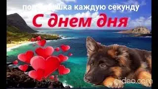 С днем дня и отвертки