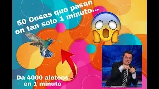 ¿Que cosas pasan en 1 minuto? ll 50 Cosas que pasan en 1 minuto