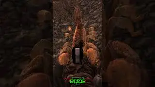 I'll get you! -Fallout: New Vegas #shorts