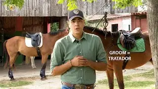 A profession on the rise in the horse segment