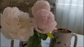 Прогноз для Людмилы по дате рождения 20.06.и всем близнецам,кто родился этого числа и месяца.♊