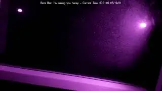 Beeeeees, not the beeees