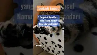 penyebab rasa malas‼️#taukahkamu #faktaunik #shorts #subscribe #malas