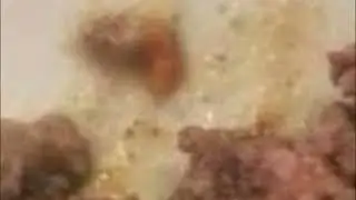 Mince Dies