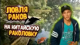 ЛОВЛЯ РАКОВ НА  КИТАЙСКУЮ РАКОЛОВКУ, ПОЙМАЛ МНОГО РАКОВ